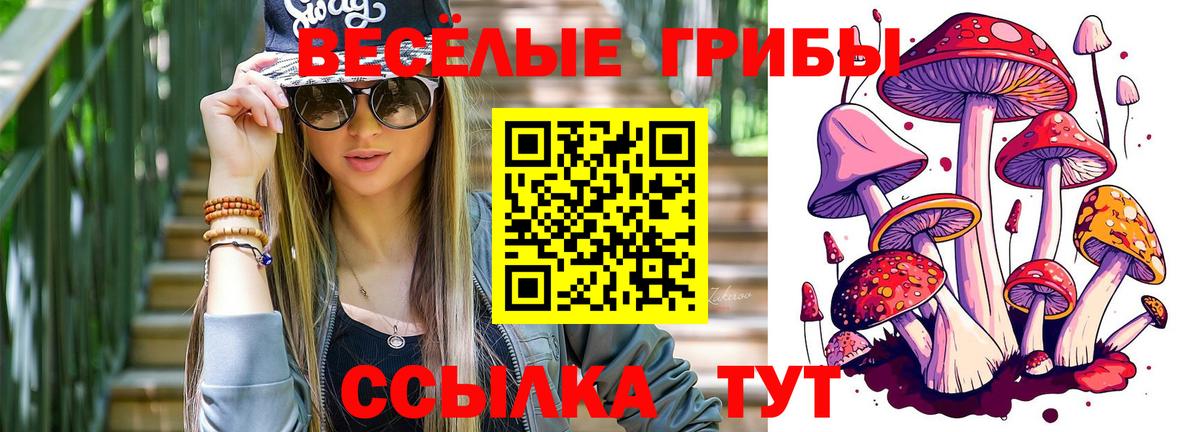 Псилоцибиновые грибы мухоморы Изобильный