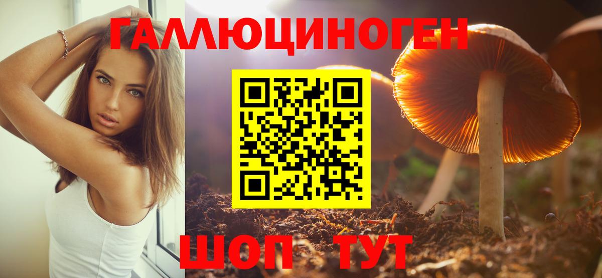 Псилоцибиновые грибы MAGIC MUSHROOMS  Вход с VPN  Изобильный 